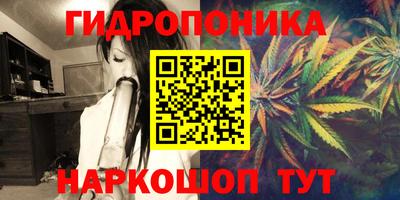 PSILOCYBIN Чебоксары