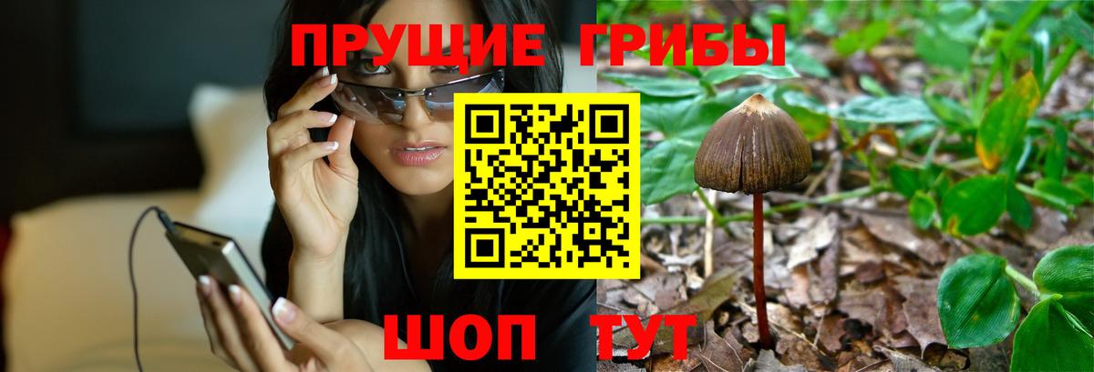 Архангельск  дарнет шоп  Вход с VPN  Галлюциногенные грибы Psilocybine cubensis 