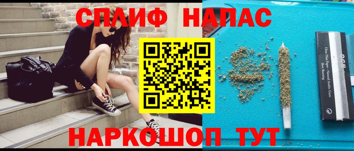 Конопля сатива Архангельск